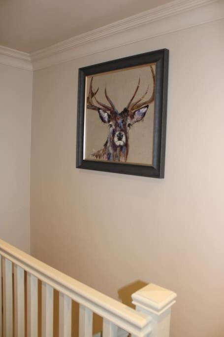 Woodland Retreat In Lytham.