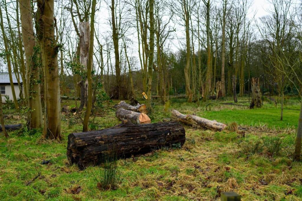 Woodland Retreat In Lytham. * Lytham St Annes